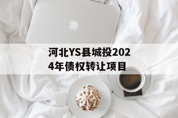 河北YS县城投2024年债权转让项目