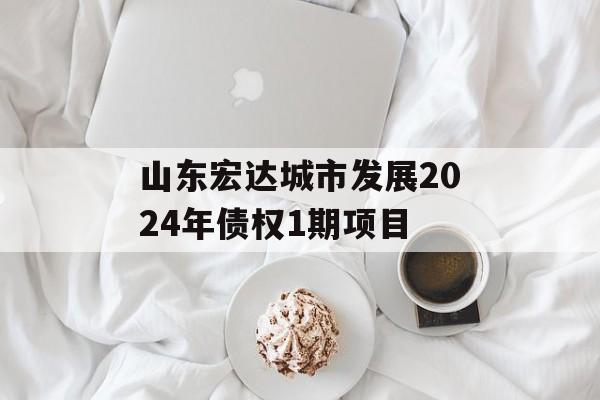 山东宏达城市发展2024年债权1期项目