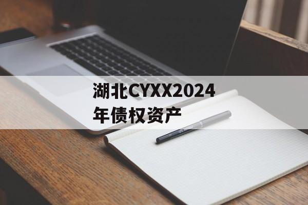 湖北CYXX2024年债权资产