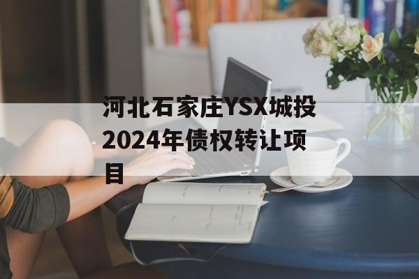 河北石家庄YSX城投2024年债权转让项目