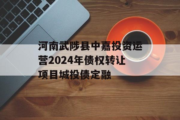 河南武陟县中嘉投资运营2024年债权转让项目城投债定融