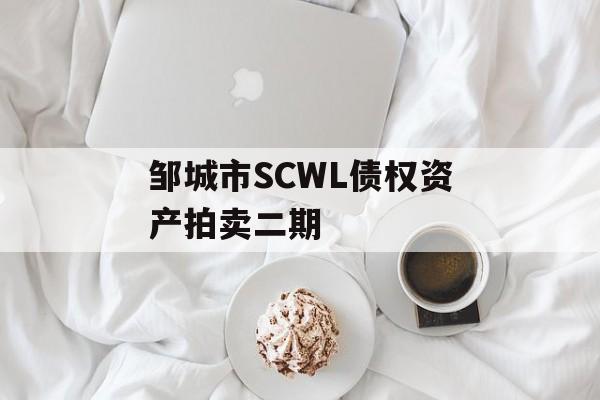 邹城市SCWL债权资产拍卖二期