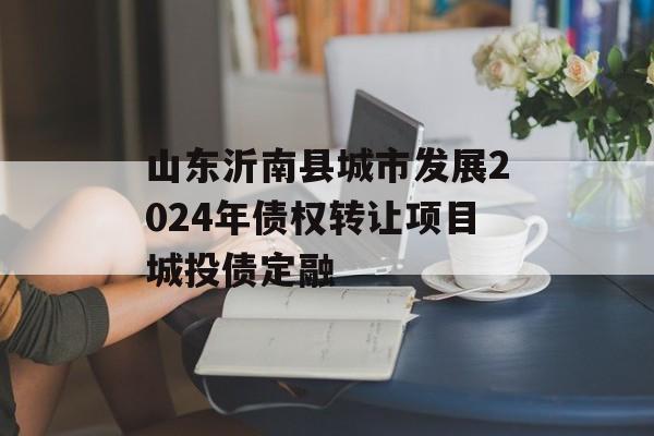 山东沂南县城市发展2024年债权转让项目城投债定融