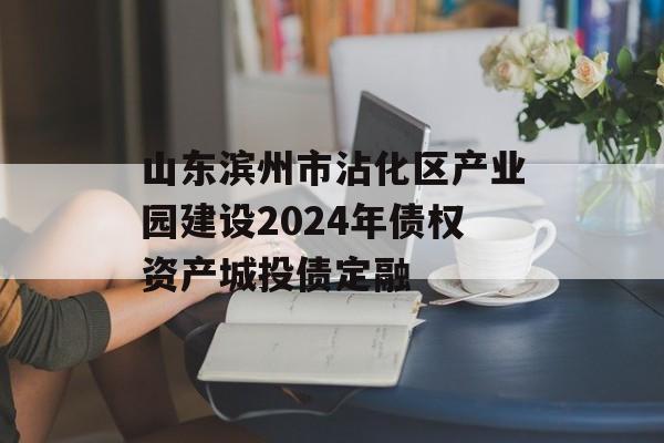 山东滨州市沾化区产业园建设2024年债权资产城投债定融