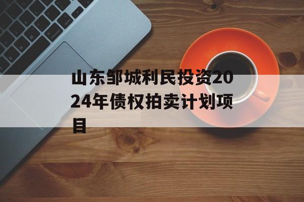 山东邹城利民投资2024年债权拍卖计划项目