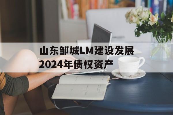 山东邹城LM建设发展2024年债权资产