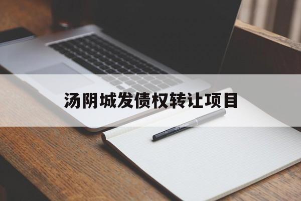 汤阴城发债权转让项目