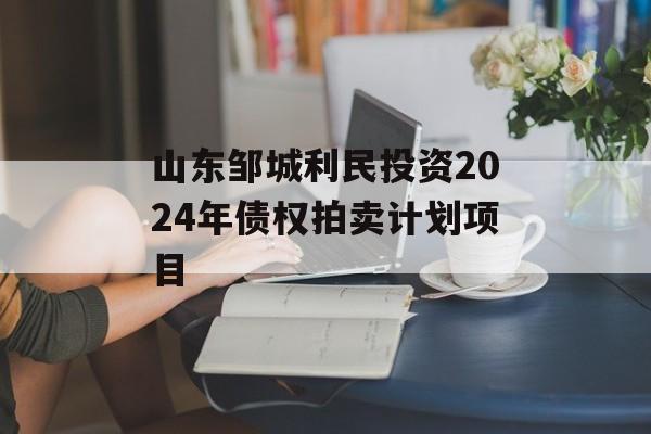 山东邹城利民投资2024年债权拍卖计划项目