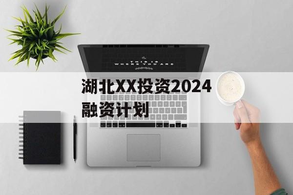 湖北XX投资2024融资计划