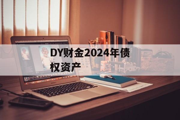 DY财金2024年债权资产