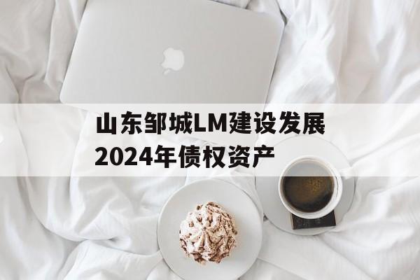 山东邹城LM建设发展2024年债权资产