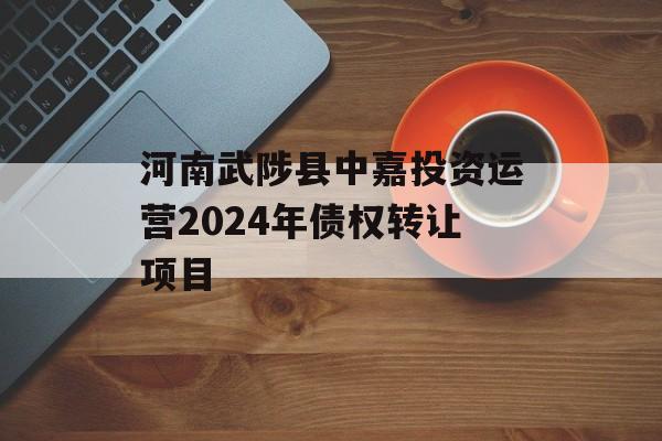 河南武陟县中嘉投资运营2024年债权转让项目