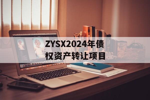 ZYSX2024年债权资产转让项目