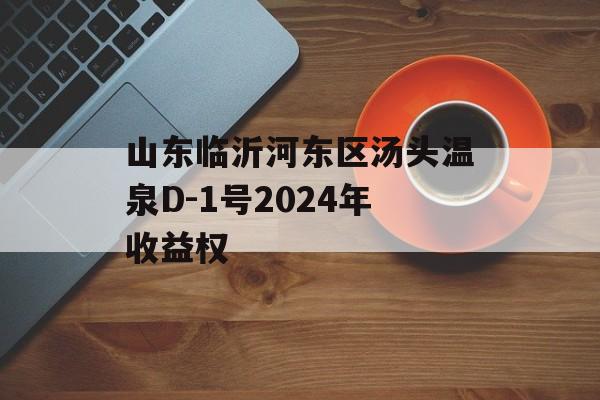 山东临沂河东区汤头温泉D-1号2024年收益权