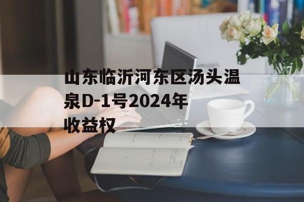 山东临沂河东区汤头温泉D-1号2024年收益权