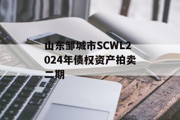 山东邹城市SCWL2024年债权资产拍卖二期