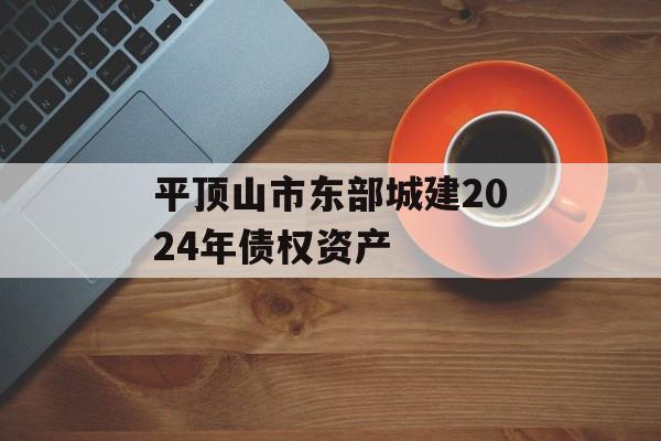 平顶山市东部城建2024年债权资产