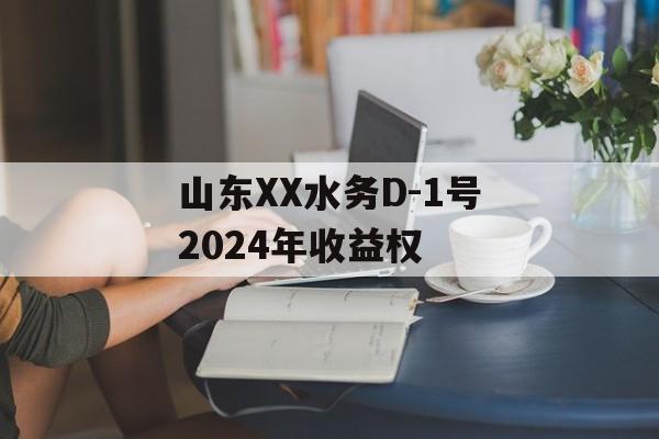 山东XX水务D-1号2024年收益权