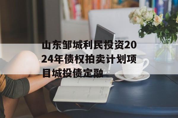 山东邹城利民投资2024年债权拍卖计划项目城投债定融