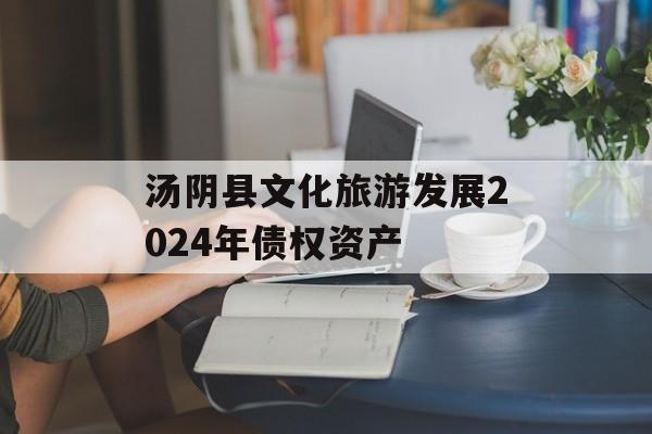 汤阴县文化旅游发展2024年债权资产